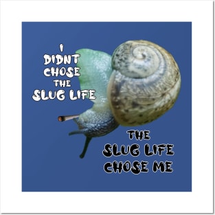 Snail Life Posters and Art